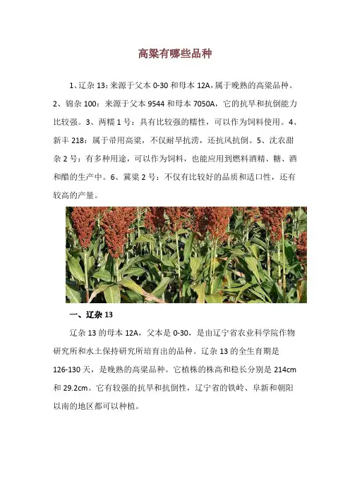 高粱有哪些品种