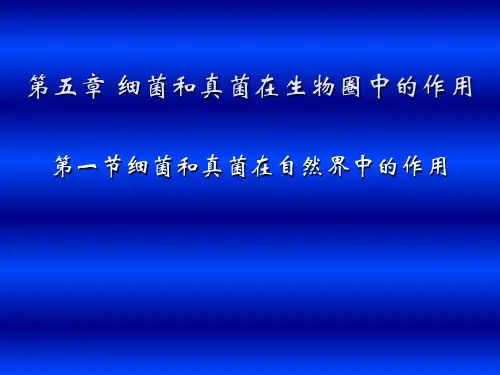 细菌和真菌在自然界中的作用课件(优秀版)