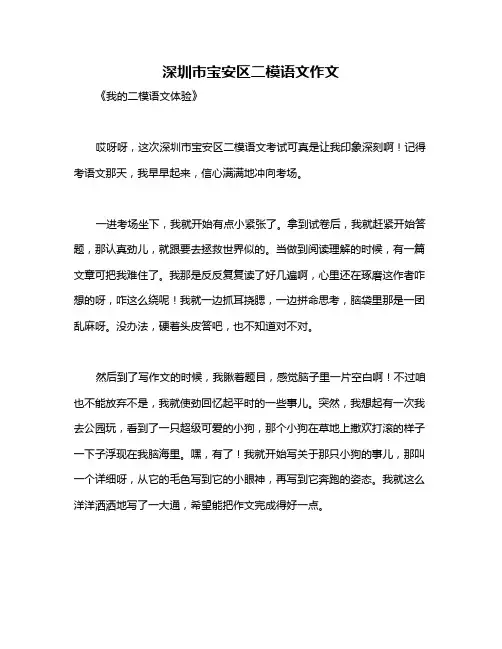 深圳市宝安区二模语文作文