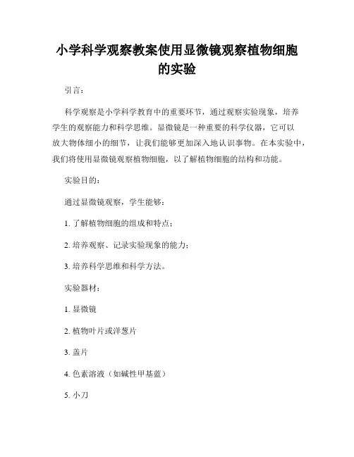 小学科学观察教案使用显微镜观察植物细胞的实验
