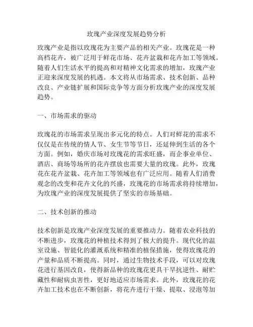 玫瑰产业深度发展趋势分析