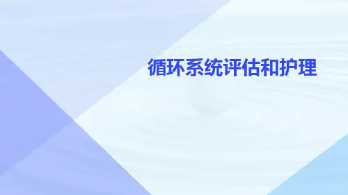 循环系统评估和护理
