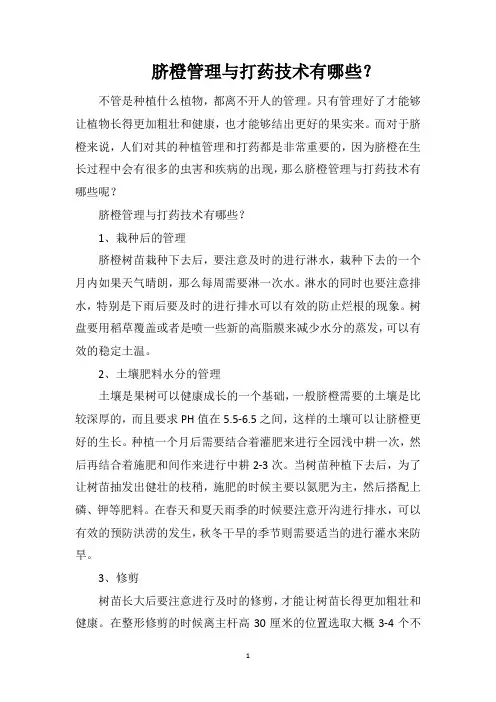 脐橙管理与打药技术有哪些？