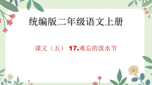 难忘的泼水节ppt课件