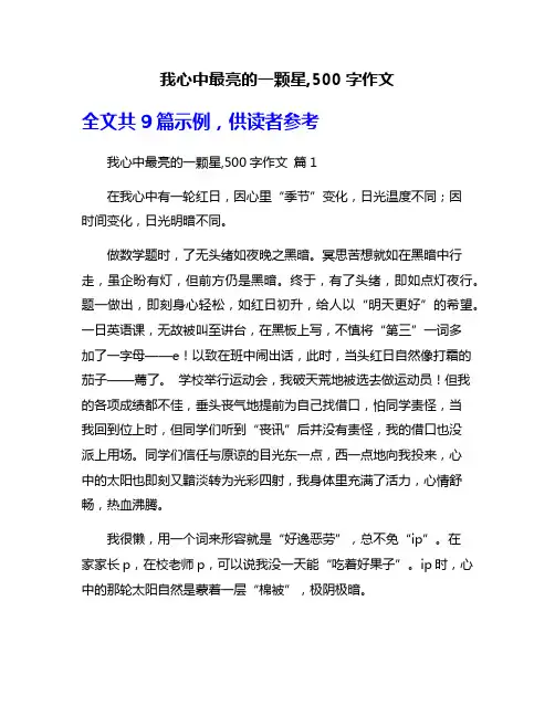 我心中最亮的一颗星,500字作文