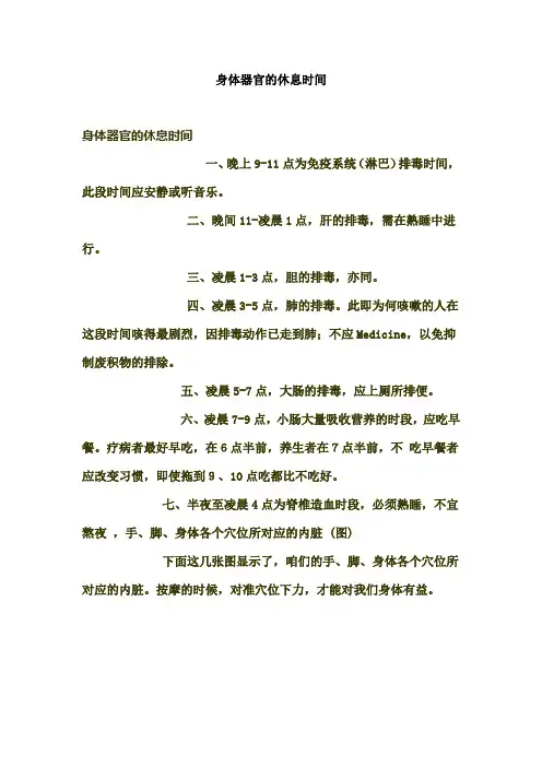 身体器官的休息时间