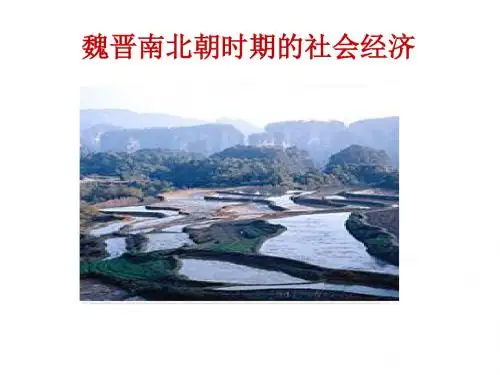 魏晋南北朝时期的社会经济ppt3