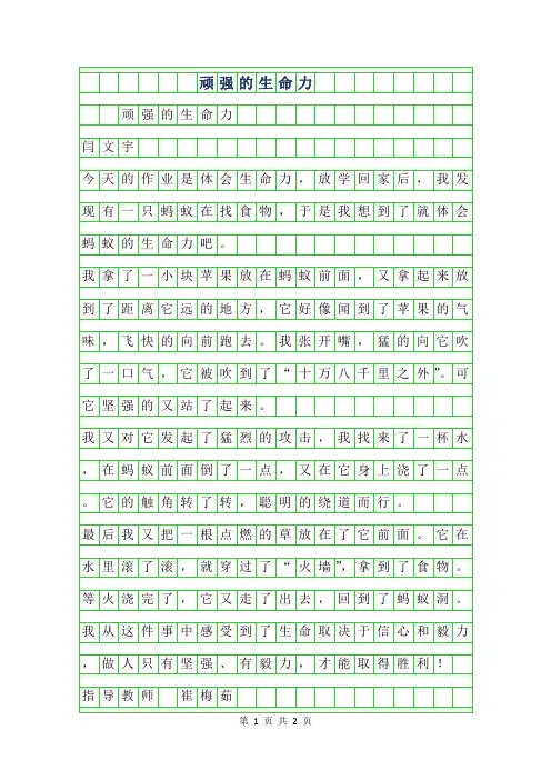 2019年四年级优秀作文-顽强的生命力