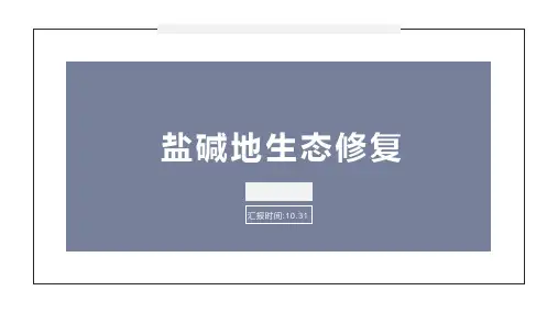 盐碱地生态修复
