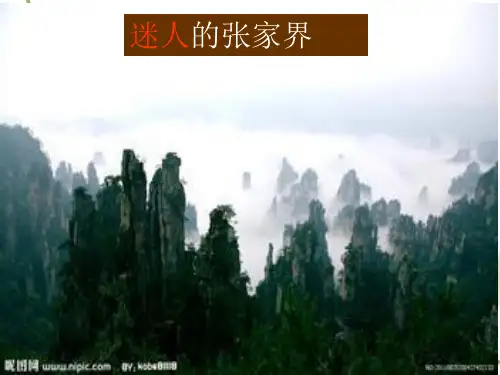 《迷人的张家界》 课件