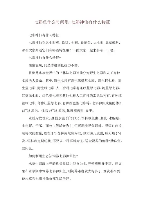 七彩鱼什么时间喂-七彩神仙有什么特征