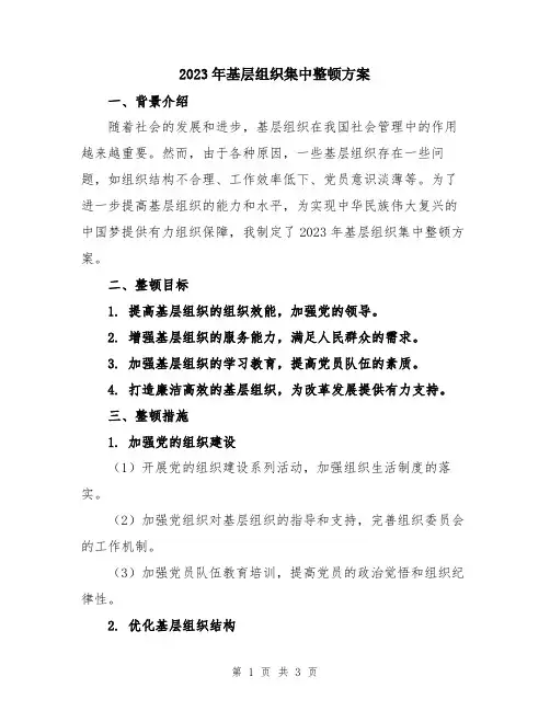 2023年基层组织集中整顿方案