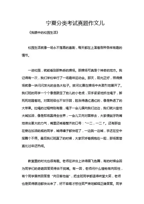 宁夏分类考试真题作文儿