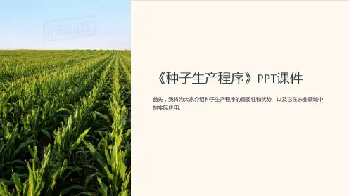《种子生产程序》课件