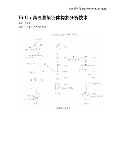 Hi-C：高通量染色体构象分析技术