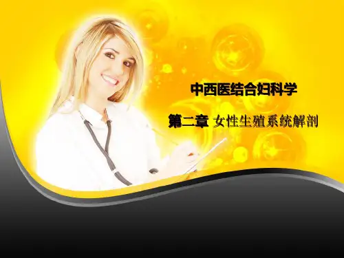 中西医结合妇产科学 第二章 女性生殖系统解剖