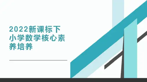 2022新课标下小学数学核心素养培养