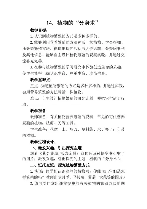 五年级下册科学教案 - 14 植物的“分身术”      ︳青岛版 