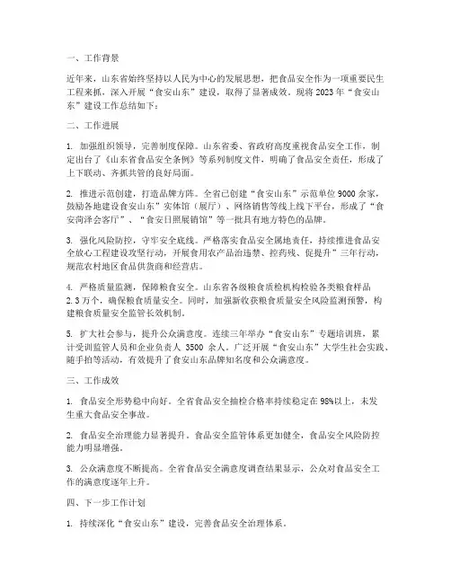 食安山东工作总结报告
