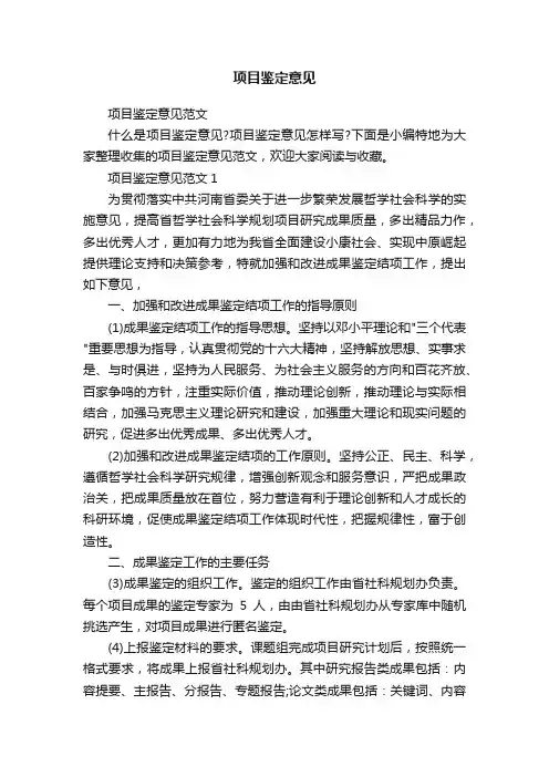 项目鉴定意见范文