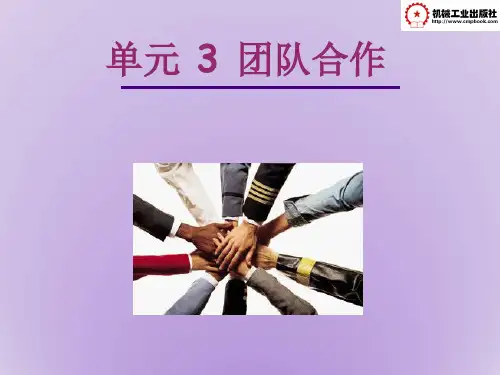 职业核心能力-团队合作能力