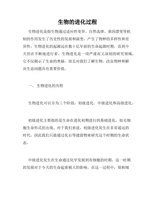 生物的进化过程