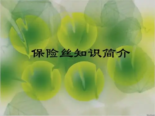 保险丝简介