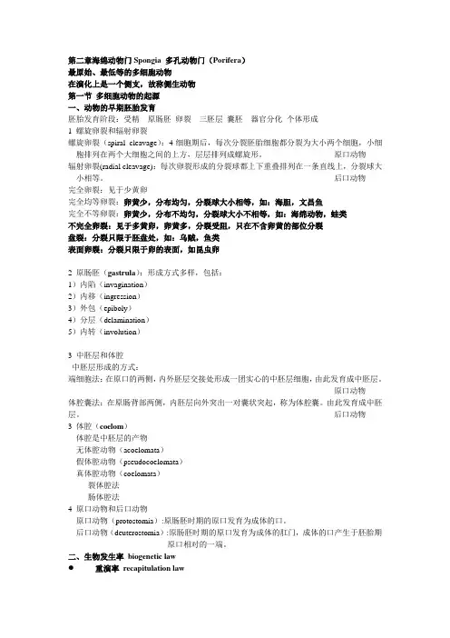 第二章 海绵动物门