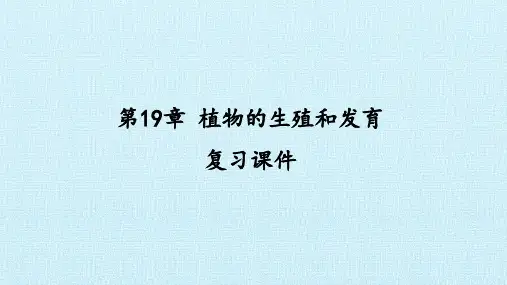 苏科版八年级生物上册：第19章 植物的生殖和发育  复习课件