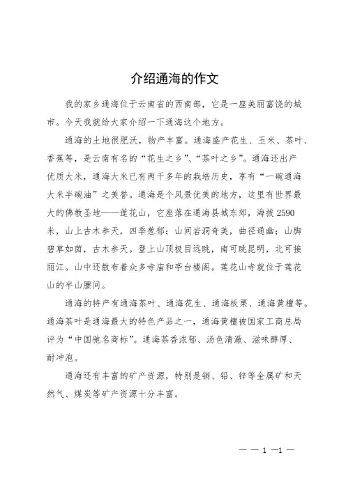 介绍通海的作文