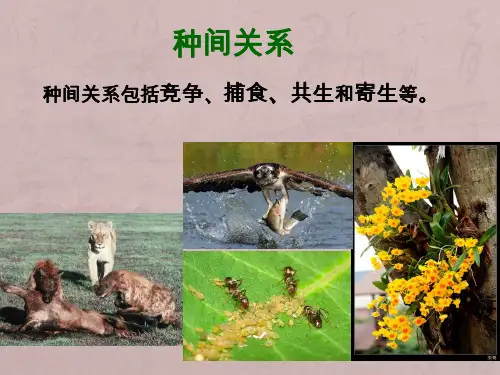 种间关系2015-12-8分析