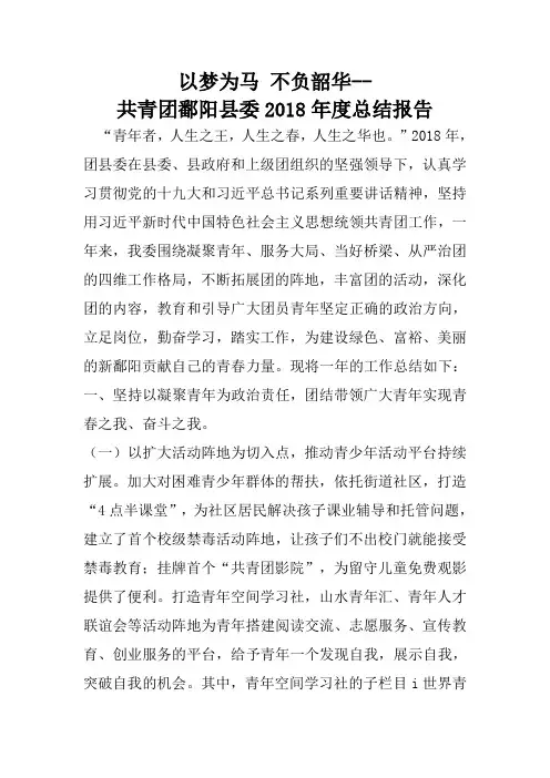 2018年团县委工作总结