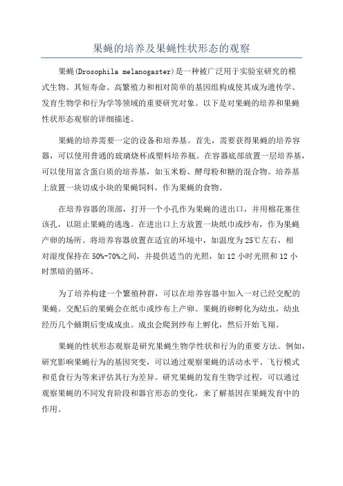 果蝇的培养及果蝇性状形态的观察
