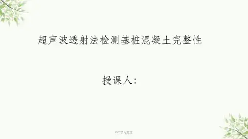 超声检测桩基培训课件