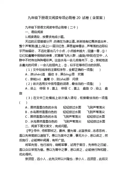 九年级下册语文阅读专项必刷卷20 试卷(含答案)