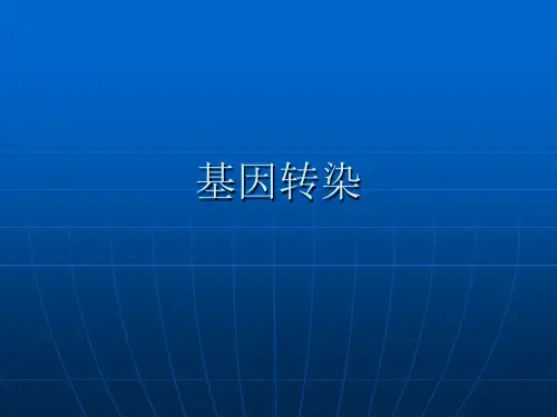基因转染
