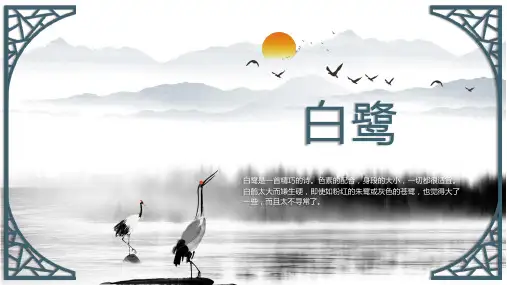 白鹭课件(共35张PPT)