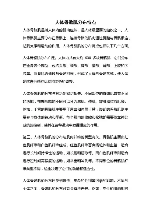 人体骨骼肌分布特点