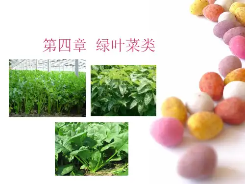 绿叶菜类