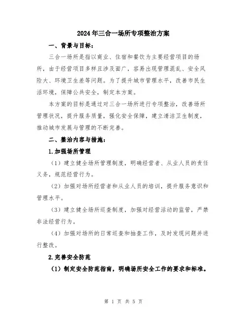 2024年三合一场所专项整治方案