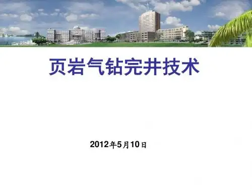 页岩气钻完井技术 精品