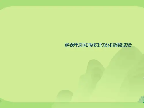 绝缘电阻和吸收比极化指数试验