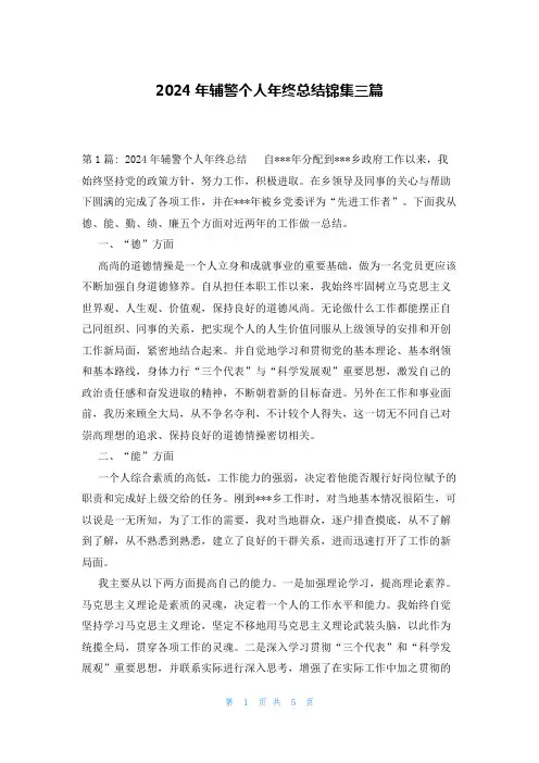 2024年辅警个人年终总结锦集三篇