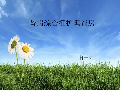 教案水肿护理查房PPt.ppt