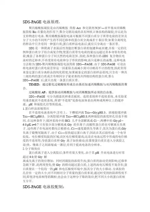 SDSPAGE分离胶配方表及其原理