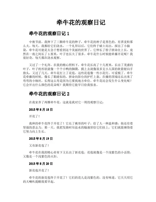 牵牛花的观察日记