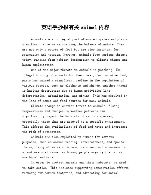 英语手抄报有关animal内容
