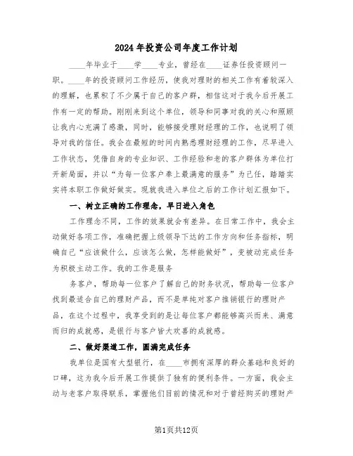 2024年投资公司年度工作计划(3篇)