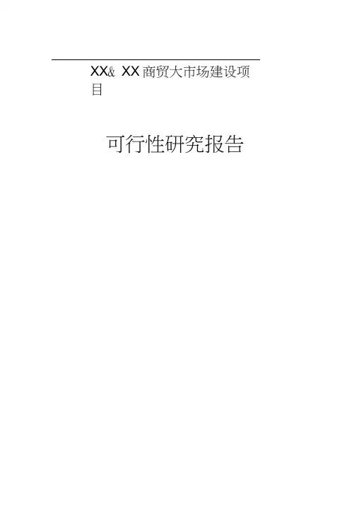 XX县XX商贸大市场建设项目可行性研究报告