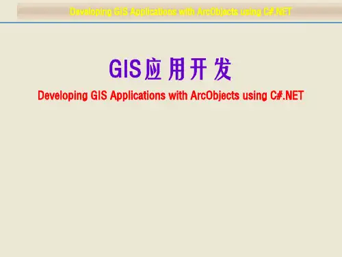 GIS应用开发课件：地理处理框架